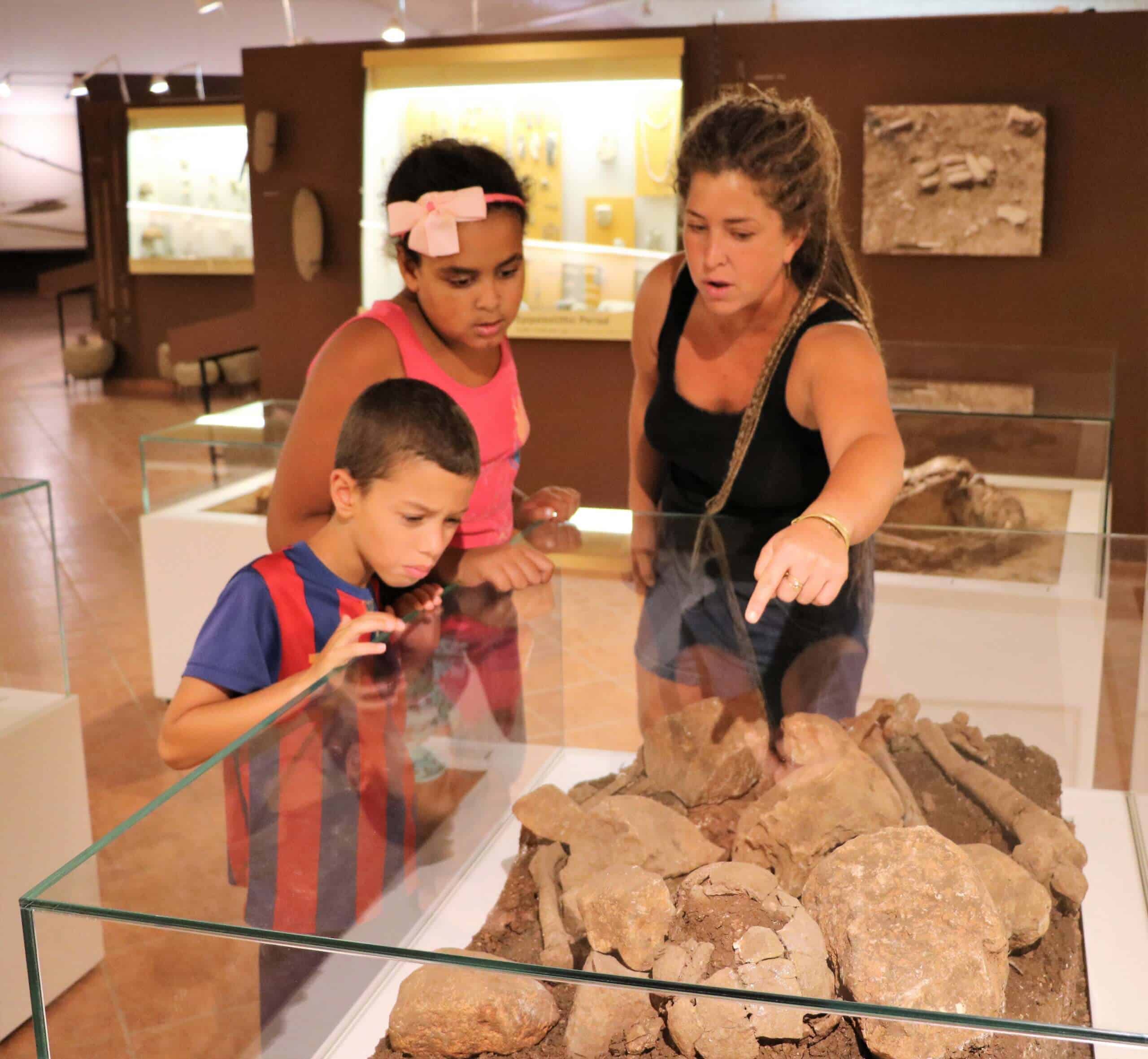 פעילות יולי אוגוסט במוזיאון